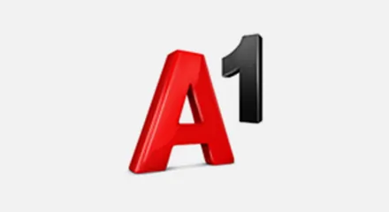 A1