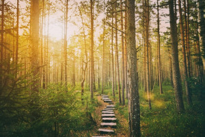 5 Considerations for Your Digital Transformation Plan
