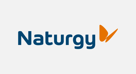 Naturgy logo