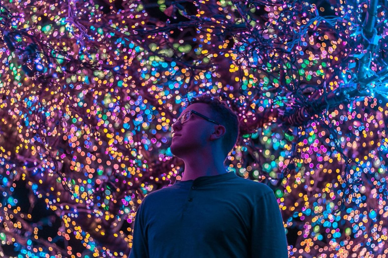 Low angle view of man standing against illuminated trees