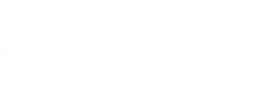 My budget genesys purecloud