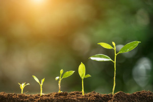 Five Ways to Improve Customer Satisfaction in a Call Center