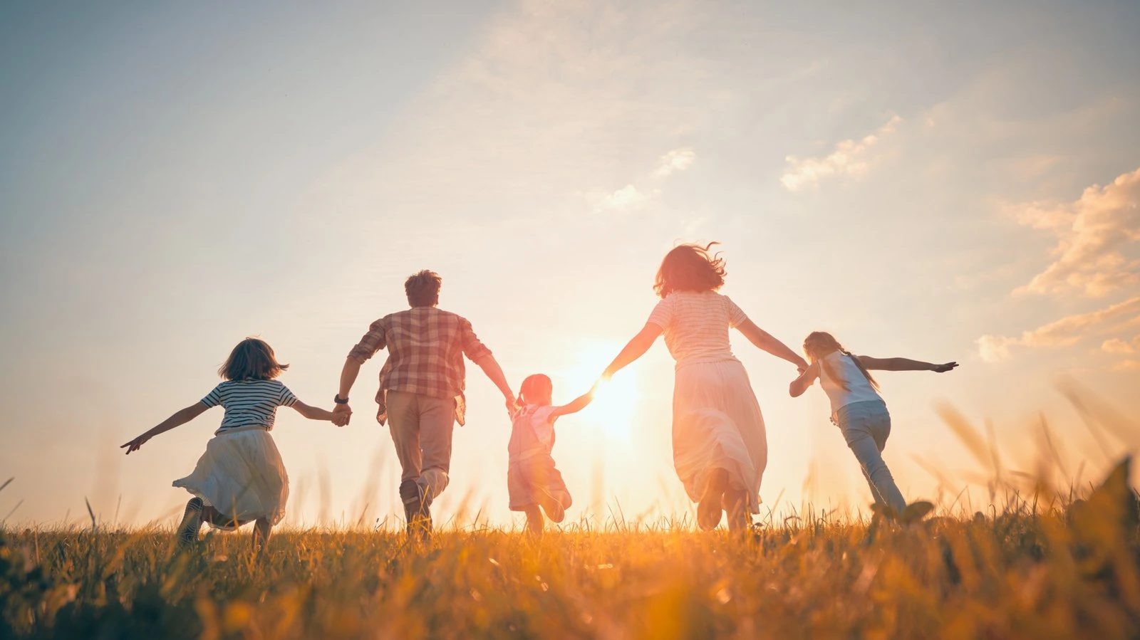 Happy family holding hands in a sunny field