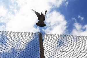 Breaking Through Cloud Contact Centre Migration Barriers