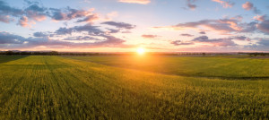 Indiana Nonprofits Continue to Serve Those in Need During COVID-19