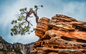 5 Ways to Build Resiliency and Keep Your Contact Center Running Smoothly