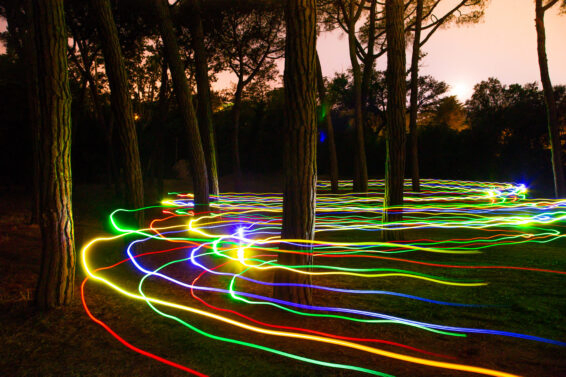 Motion of colorful trail lights between trees.