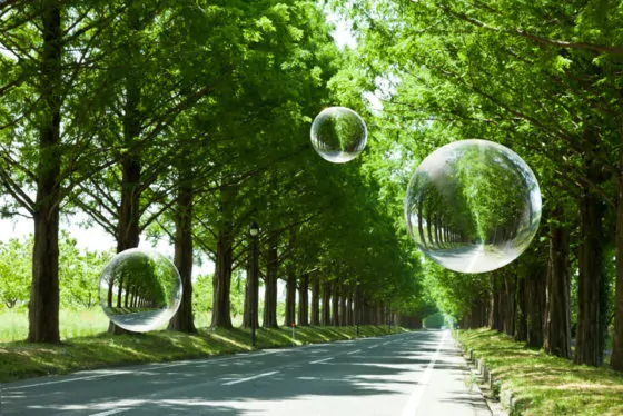 Globe tree on women hand  with fresh green avenue