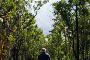 Service New South Wales: Helping Australians During Times of Crisis