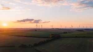 The sustainability leaders aligning experience excellence with environmental impact