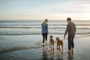 Twiddy & Company Q&A: Customer Experience at the Speed of Information