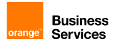 Orange Business Services