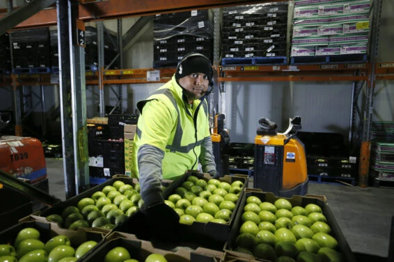 Woolworths fss 3 (1)