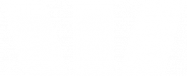 Westpac logo anz