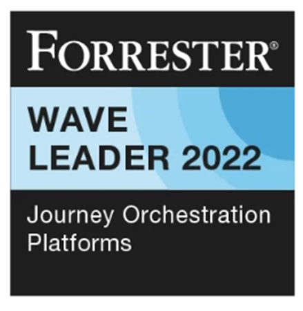 Analysts and users reports forrester wave journey 2022