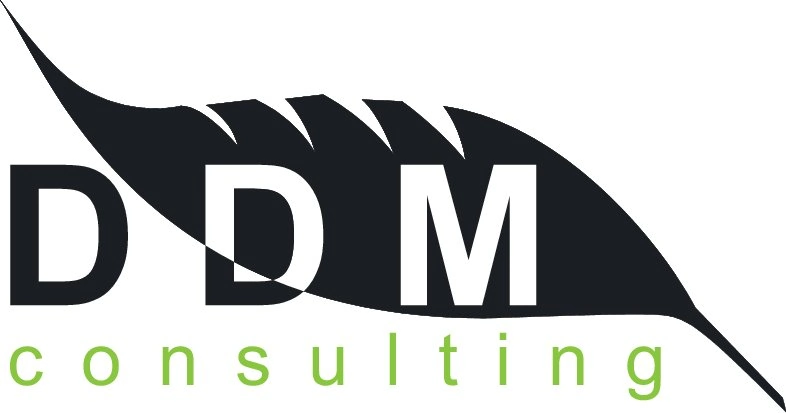 DDM Consulting