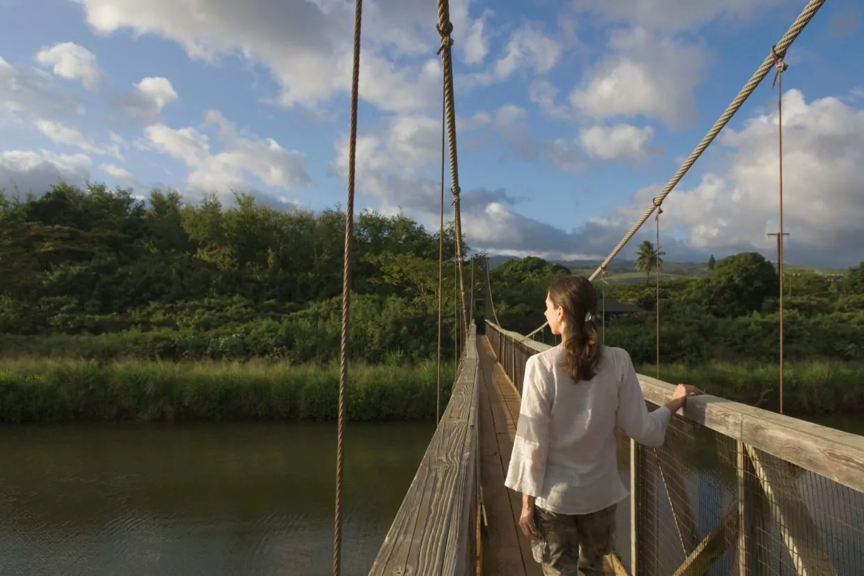 Rear view of woman walking on wooden footbridge
