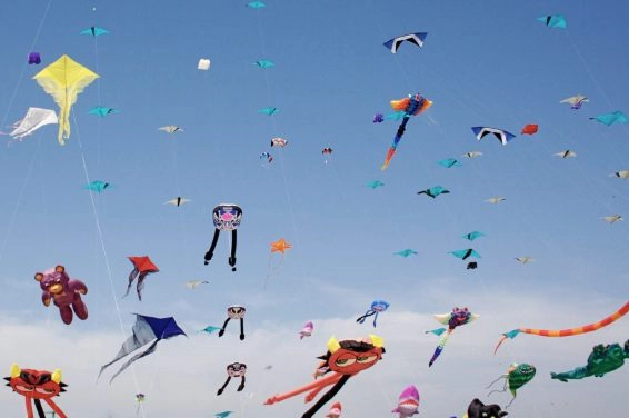 Festival of kites