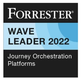 Forrester wave   journey orchestration 2022