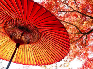 Omotenashi: The Japanese Art of Exceptional Experiences