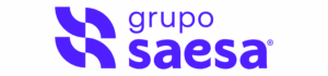Grupo Saesa logo