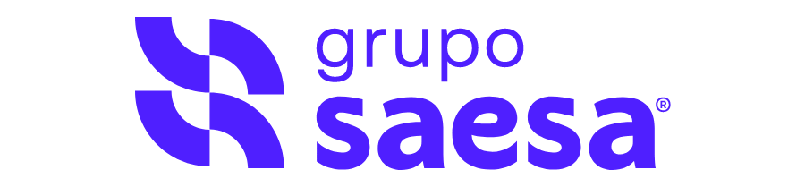 Grupo saesa logo