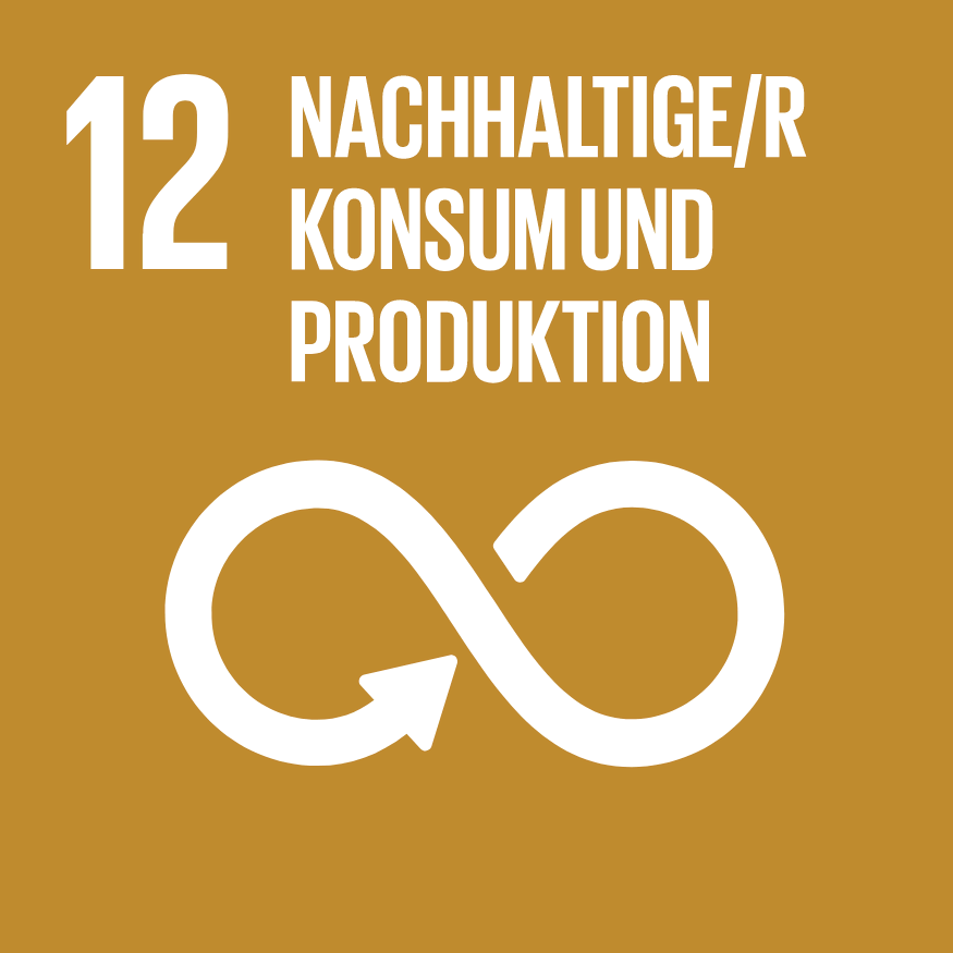 Sdg image 12 data